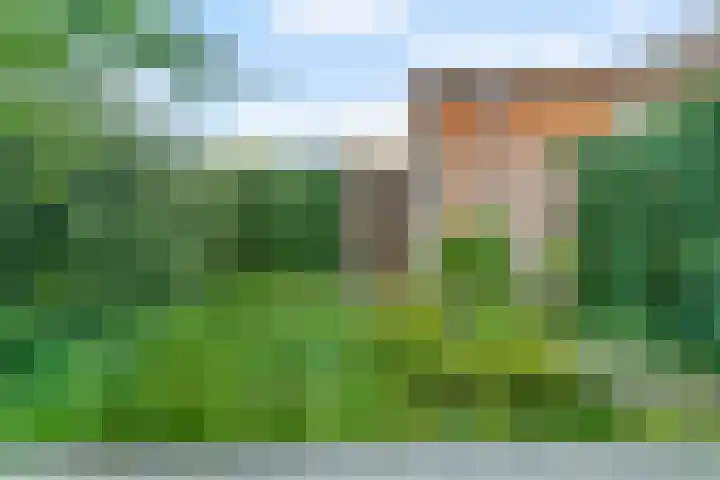 Pieter Lieftinckstraat 9 Woerden thumbnail 23