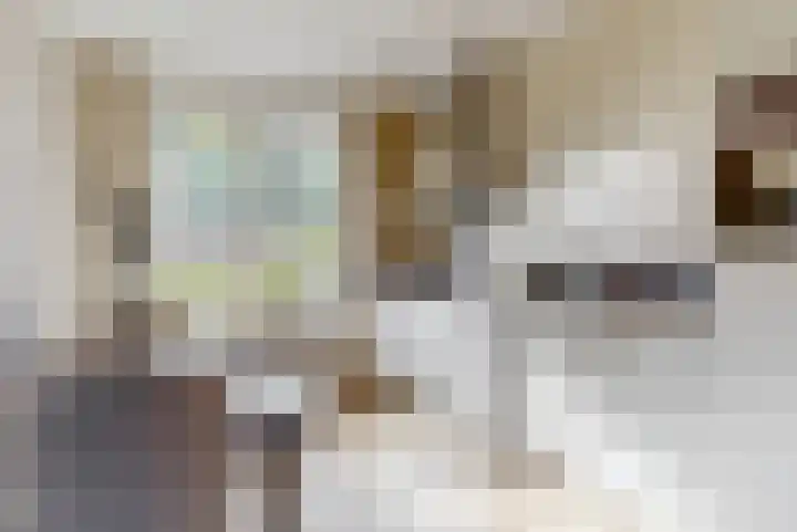 Pieter Lieftinckstraat 9 Woerden thumbnail 9