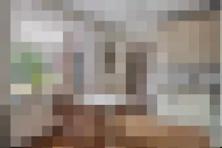 Pieter Litjensweg 1 Meterik thumbnail 12