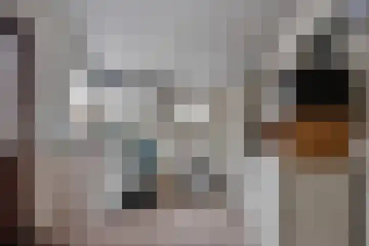 Pieter Litjensweg 1 Meterik thumbnail 14