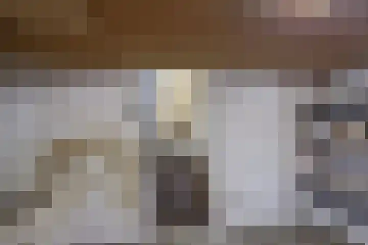 Pieter Litjensweg 1 Meterik thumbnail 15