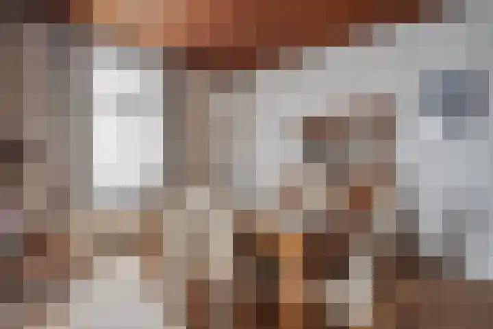 Pieter Litjensweg 1 Meterik thumbnail 16