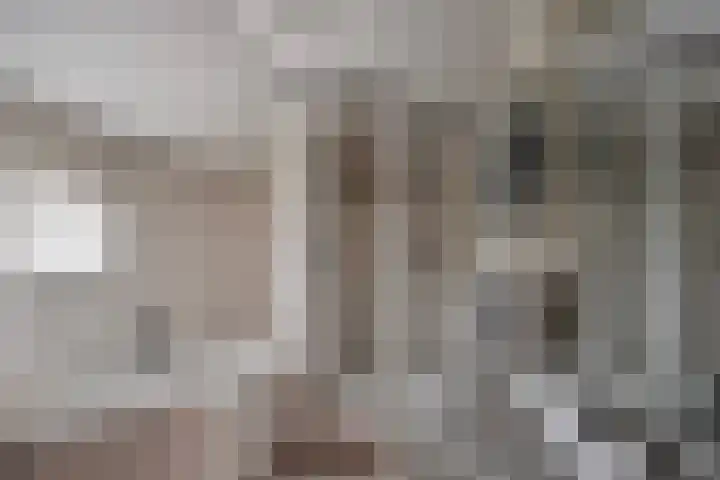 Pieter Litjensweg 1 Meterik thumbnail 21