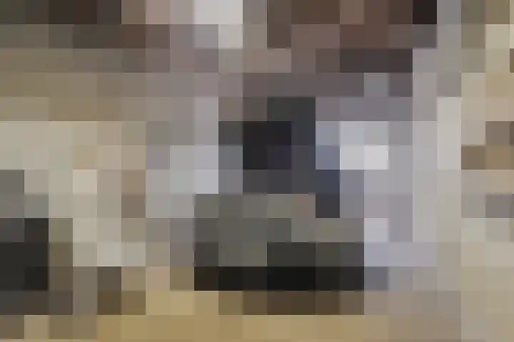 Pieter Litjensweg 1 Meterik thumbnail 26