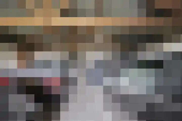 Pieter Litjensweg 1 Meterik thumbnail 28