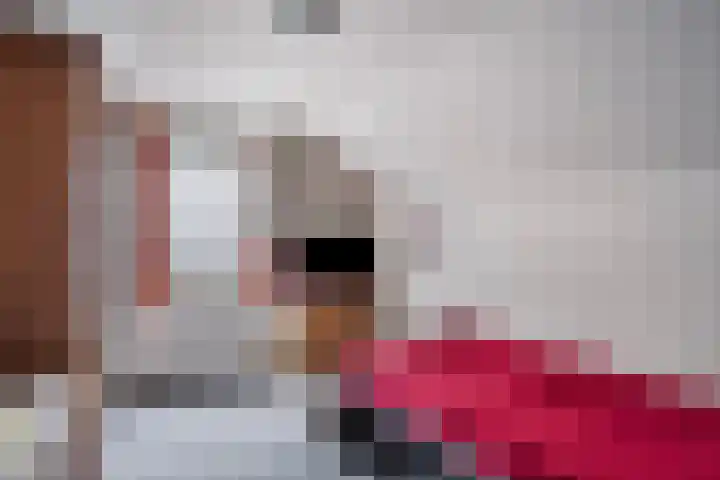 Pieter Litjensweg 1 Meterik thumbnail 32