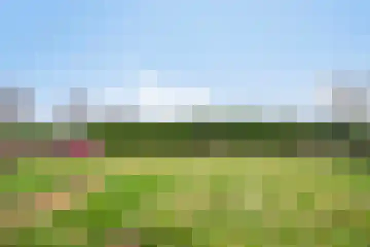 Pieter Litjensweg 1 Meterik thumbnail 34