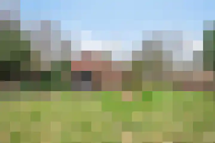 Pieter Litjensweg 1 Meterik thumbnail 35