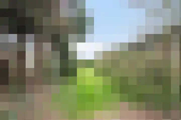 Pieter Litjensweg 1 Meterik thumbnail 37