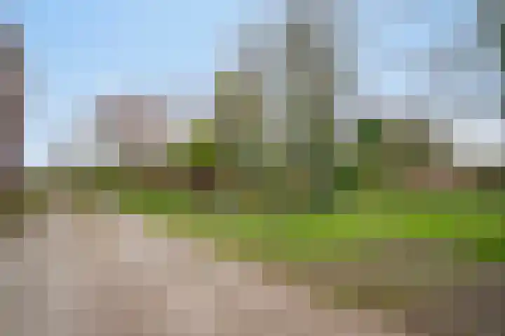 Pieter Litjensweg 1 Meterik thumbnail 38