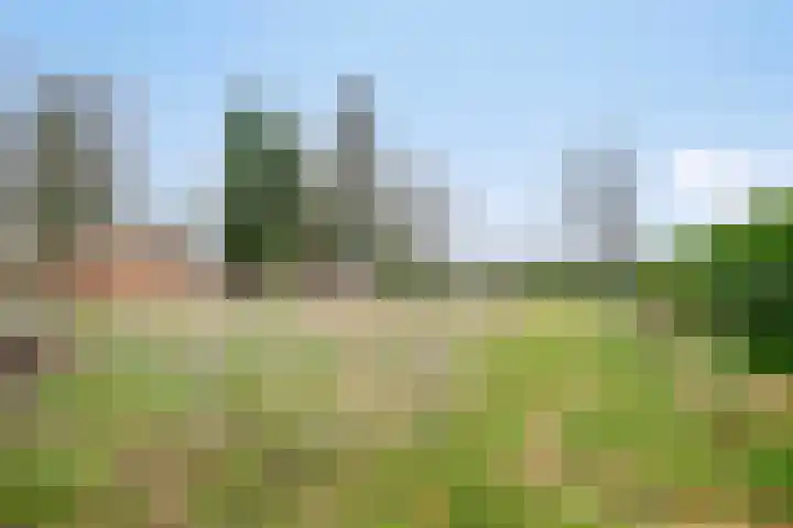Pieter Litjensweg 1 Meterik thumbnail 4