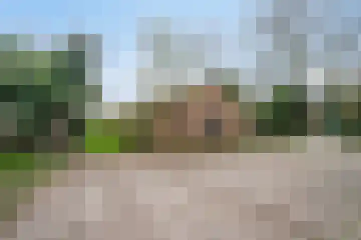 Pieter Litjensweg 1 Meterik thumbnail 41