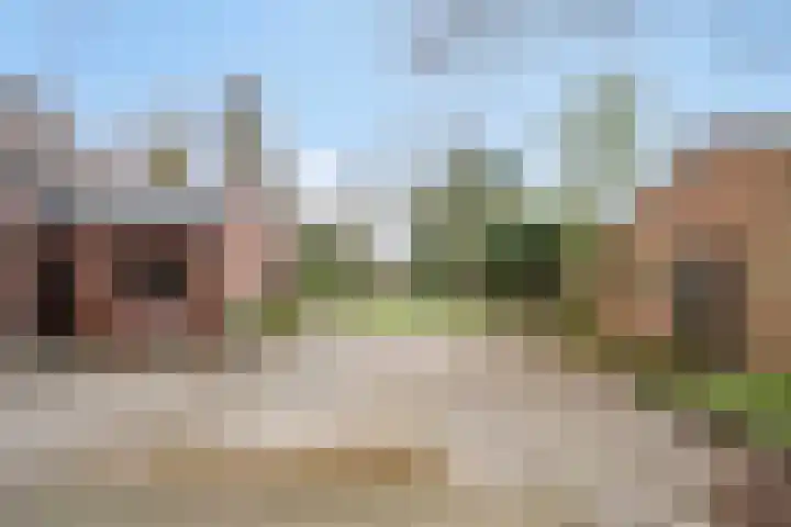 Pieter Litjensweg 1 Meterik thumbnail 42
