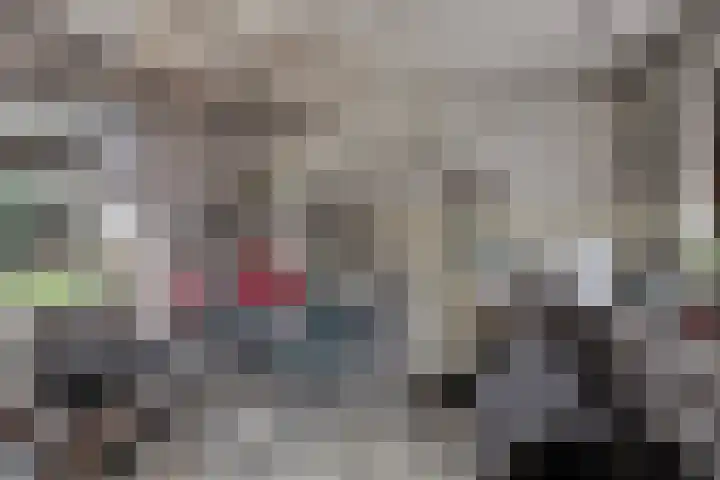 Pieter Litjensweg 1 Meterik thumbnail 45
