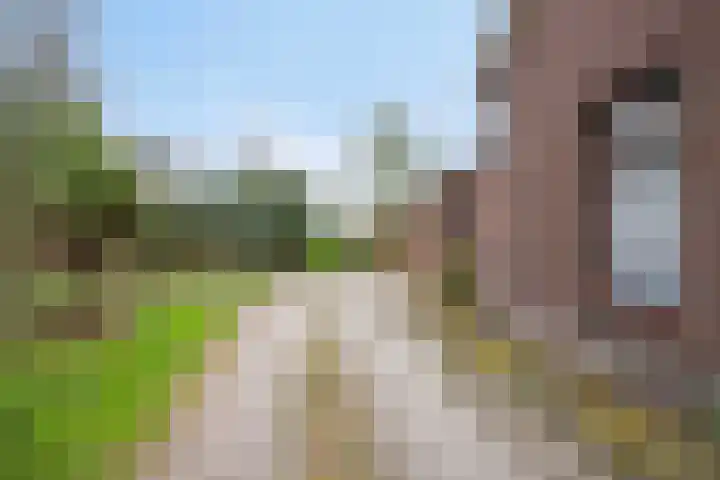Pieter Litjensweg 1 Meterik thumbnail 47