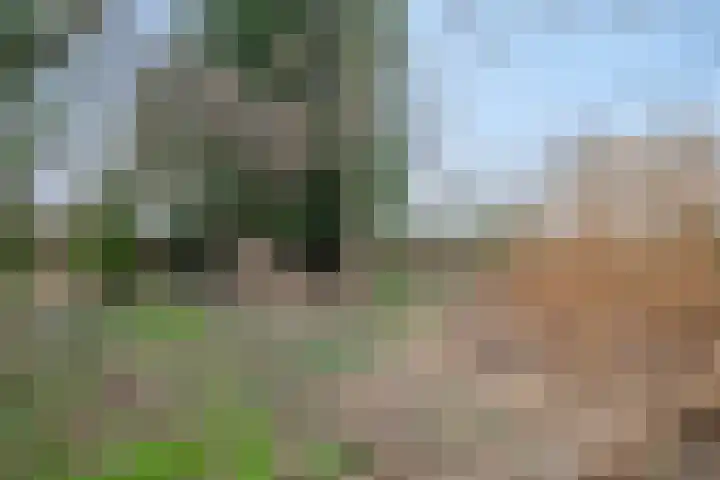 Pieter Litjensweg 1 Meterik thumbnail 48