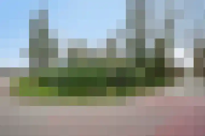 Pieter Litjensweg 1 Meterik thumbnail 50