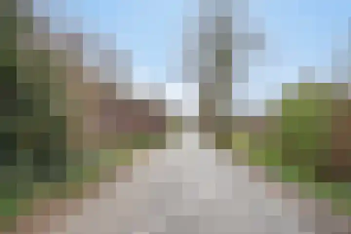 Pieter Litjensweg 1 Meterik thumbnail 51