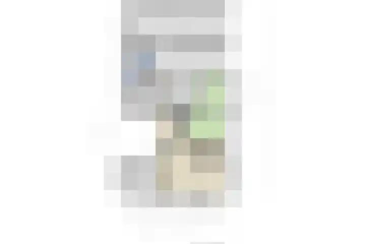 Pieter Litjensweg 1 Meterik thumbnail 52