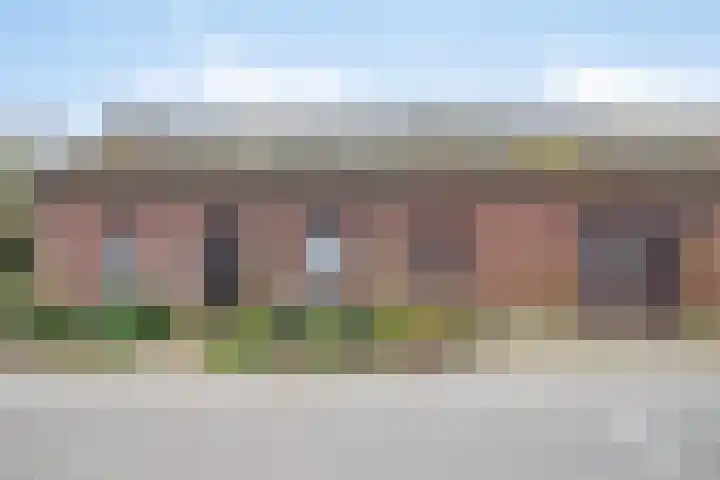 Pieter Litjensweg 1 Meterik thumbnail 6