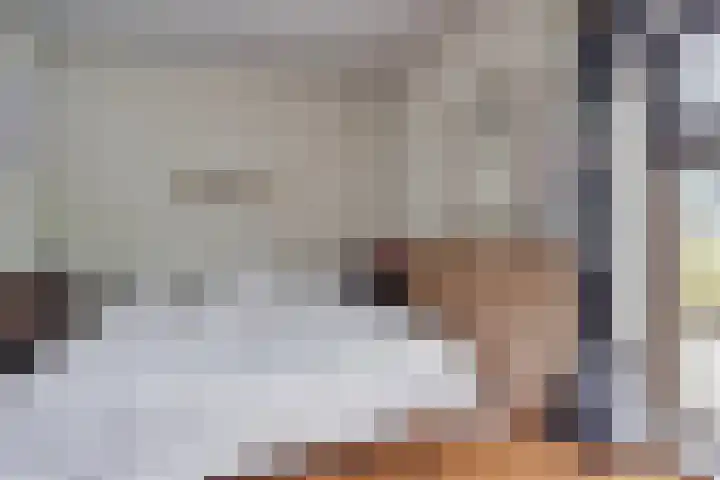 Pieter Litjensweg 1 Meterik thumbnail 9