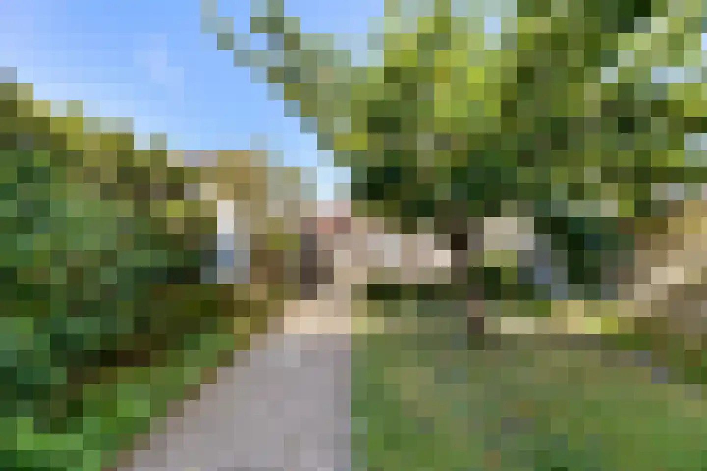 Pieter Louwersestraat 32 Oost-Souburg thumbnail 17