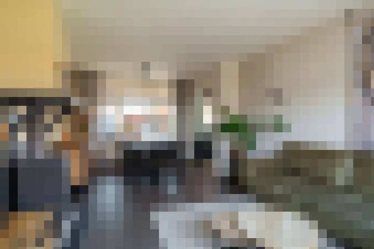 Pieter Maasstraat 3 Woudrichem thumbnail 18