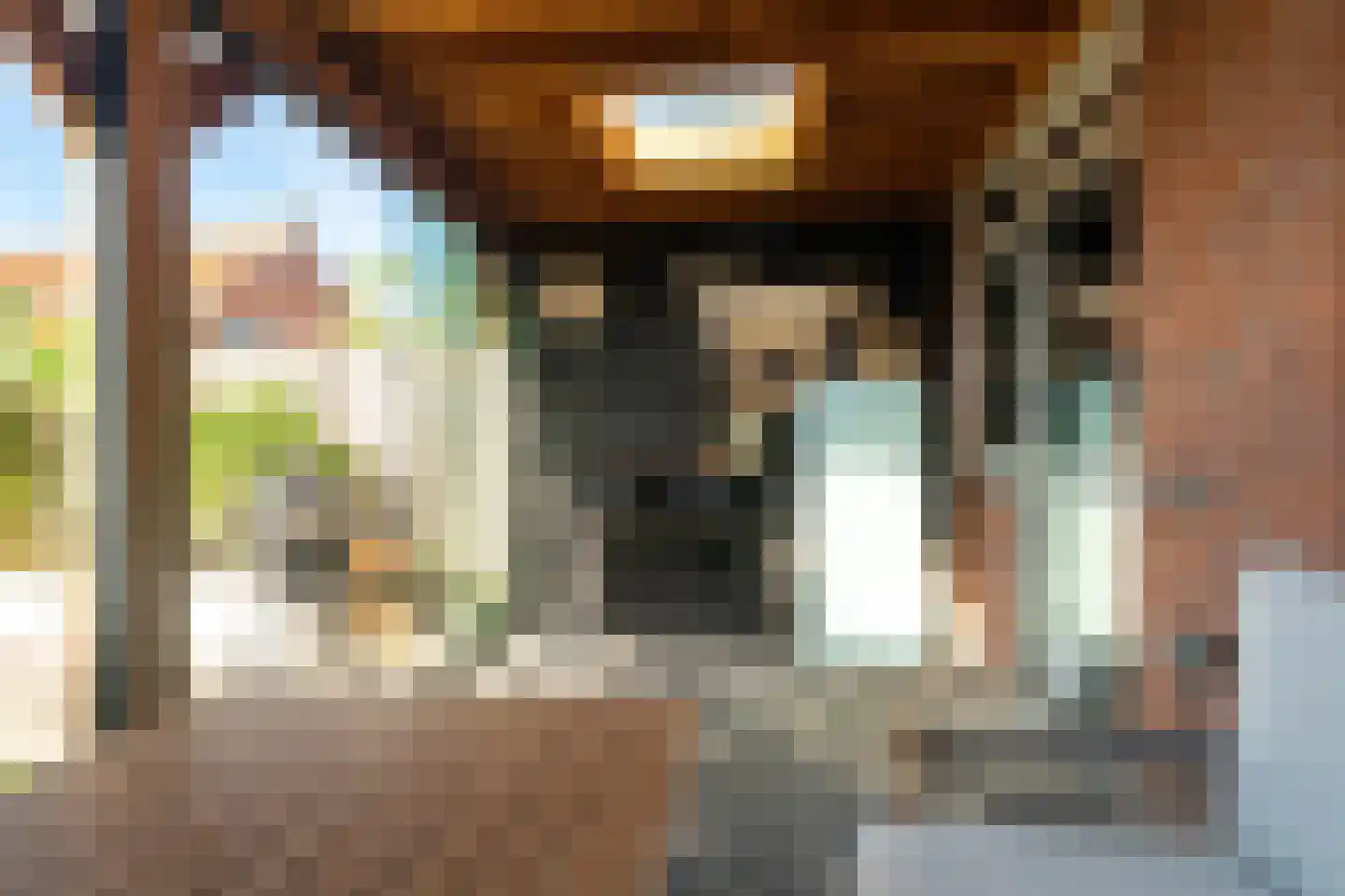 Pieter Maasstraat 3 Woudrichem thumbnail 29