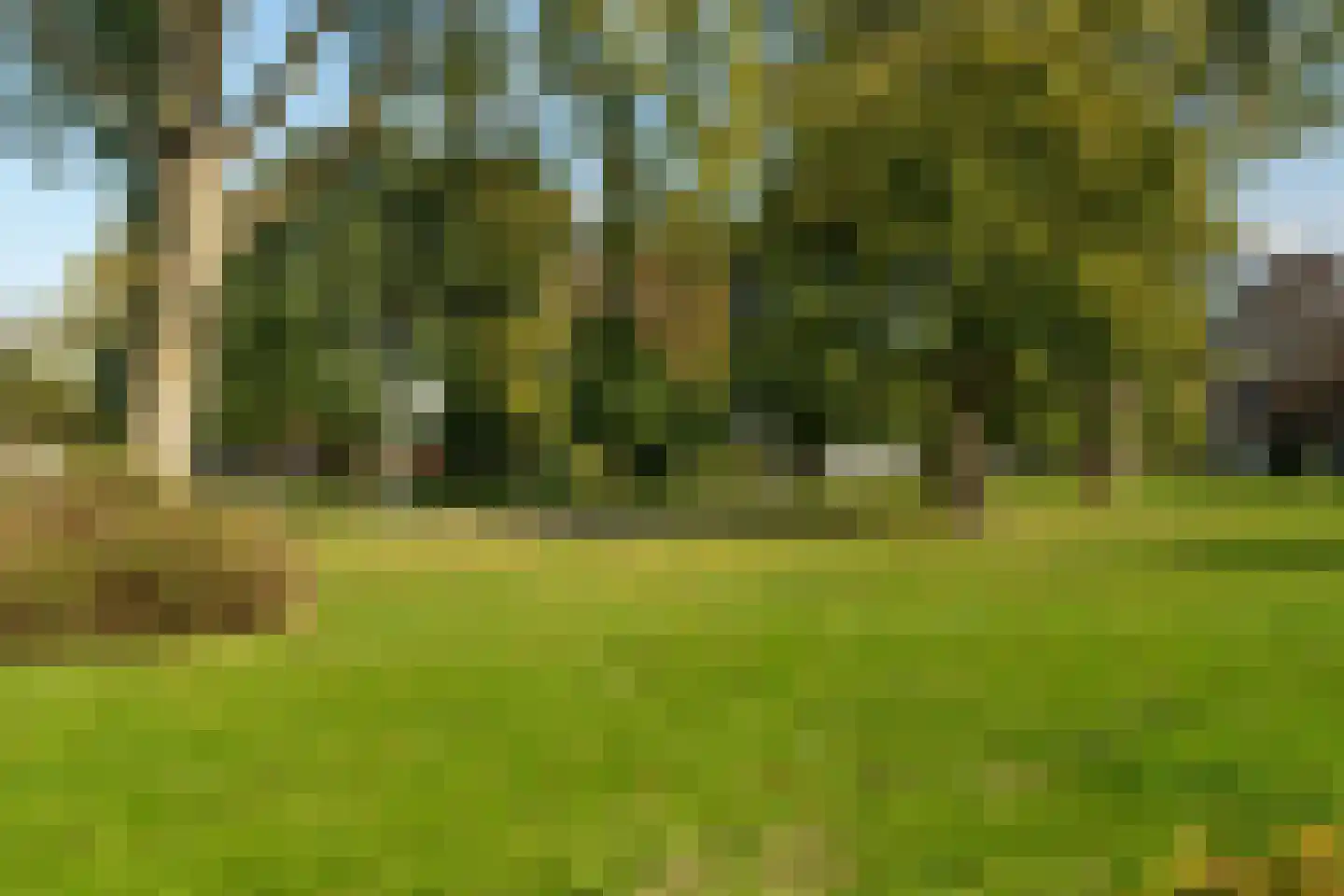 Pieter Maasstraat 3 Woudrichem thumbnail 8