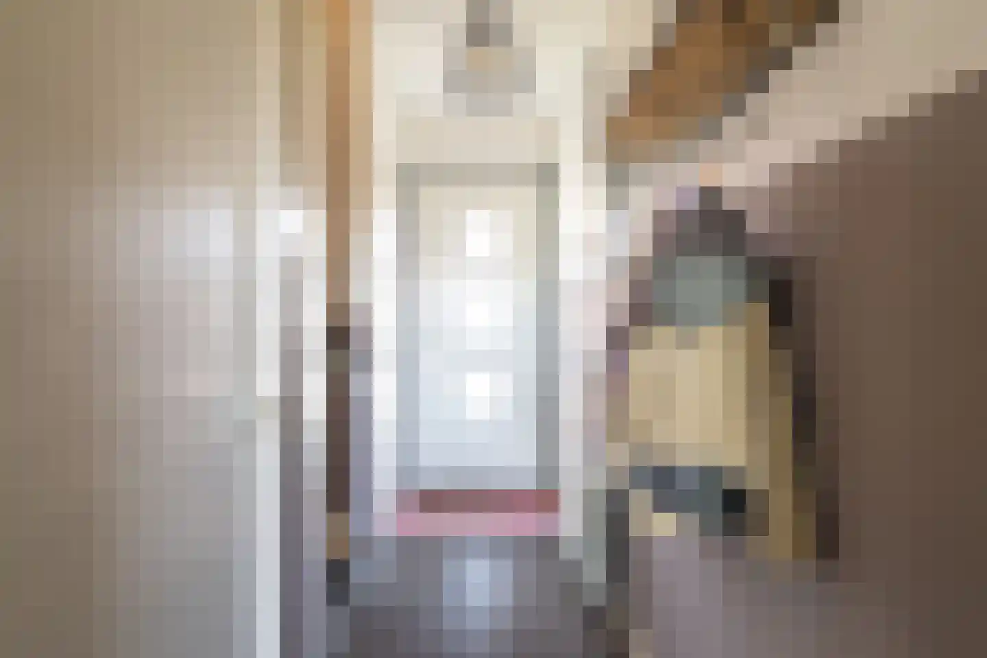 Pieter Maasstraat 3 Woudrichem thumbnail 9