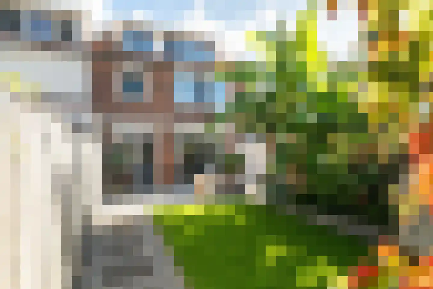 Pieter Maasstraat 7 Woudrichem thumbnail 29
