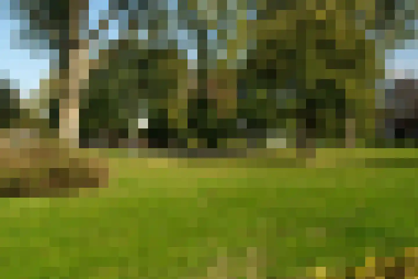 Pieter Maasstraat 7 Woudrichem thumbnail 32