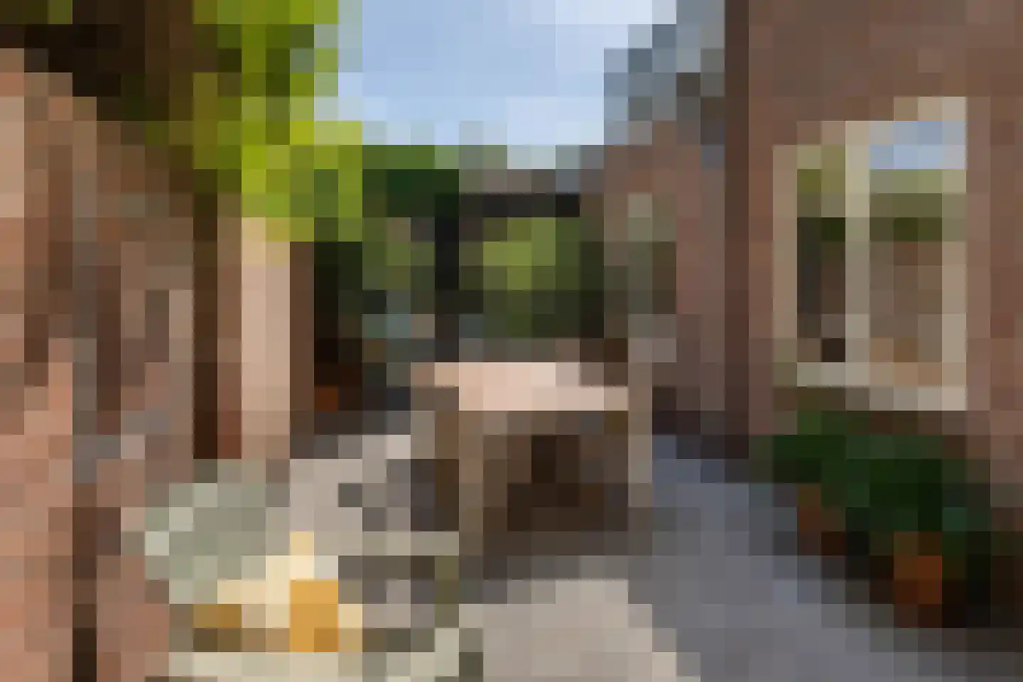 Pieter Maritzstraat 28 Haarlem thumbnail 11