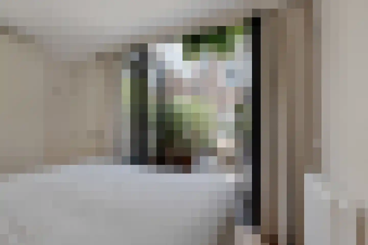 Pieter Maritzstraat 28 Haarlem thumbnail 20