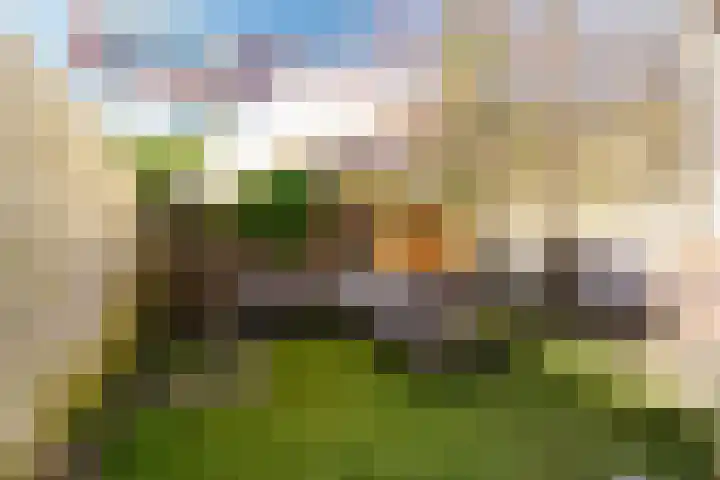 Pieter Maritzstraat 39 Haarlem thumbnail 23