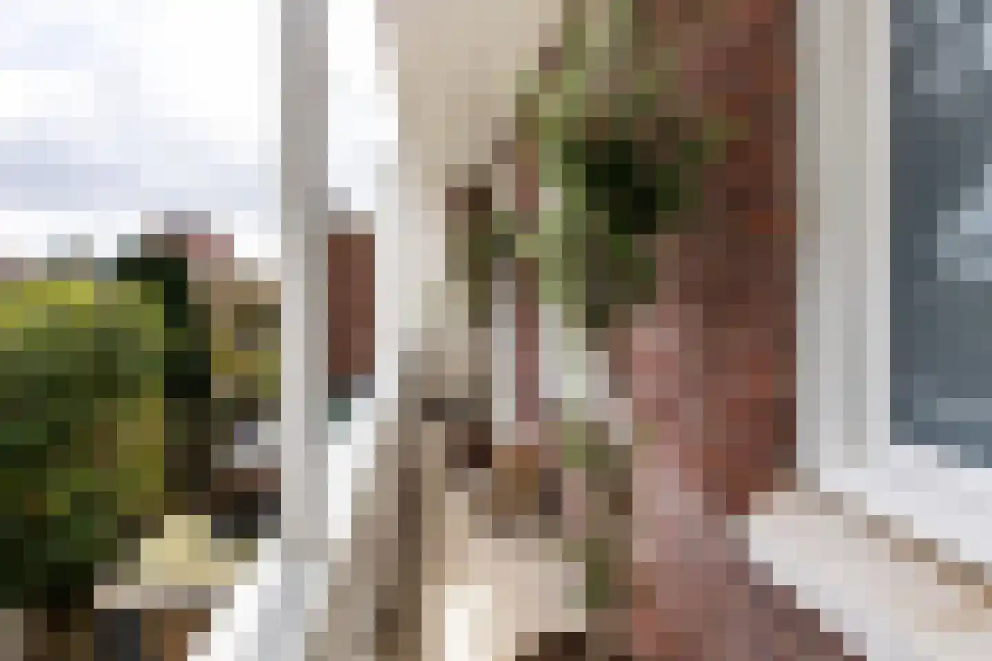 Pieter Maritzstraat 42 RD Haarlem thumbnail 18