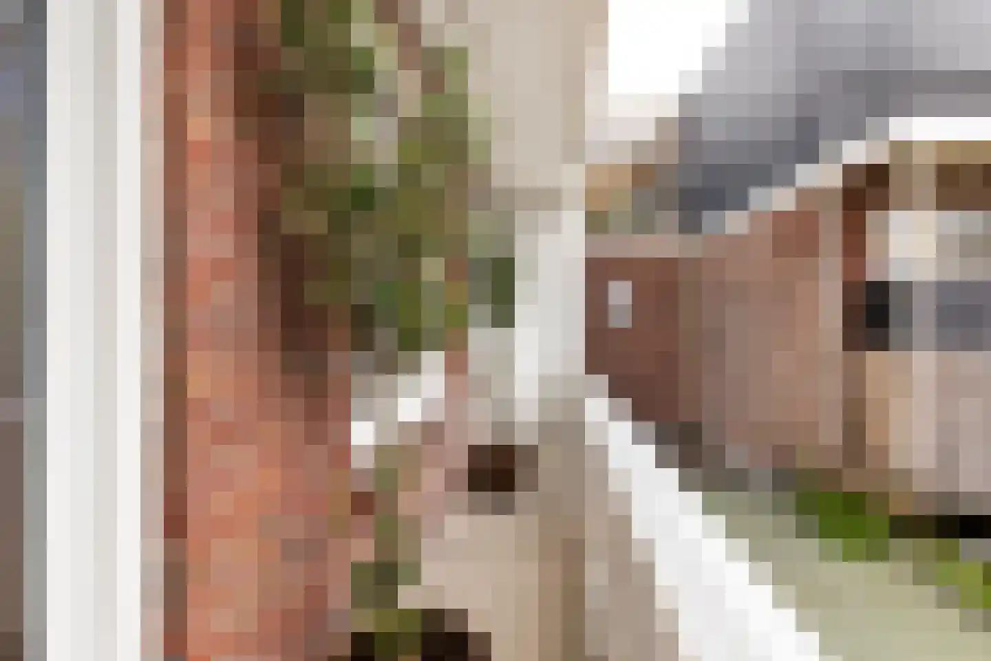 Pieter Maritzstraat 42 RD Haarlem thumbnail 20