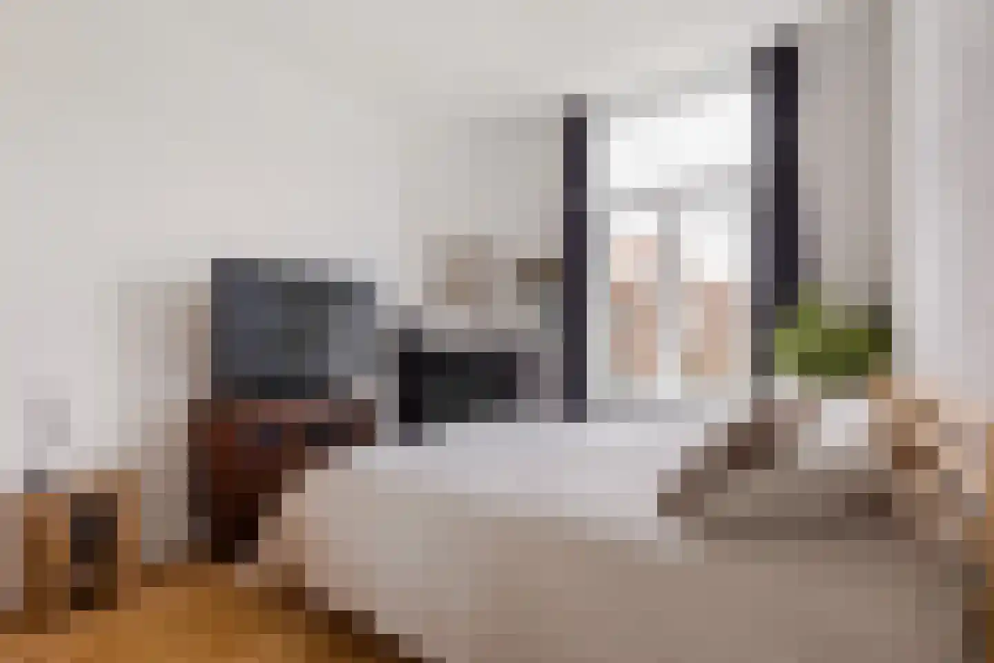 Pieter Maritzstraat 9 Haarlem thumbnail 16