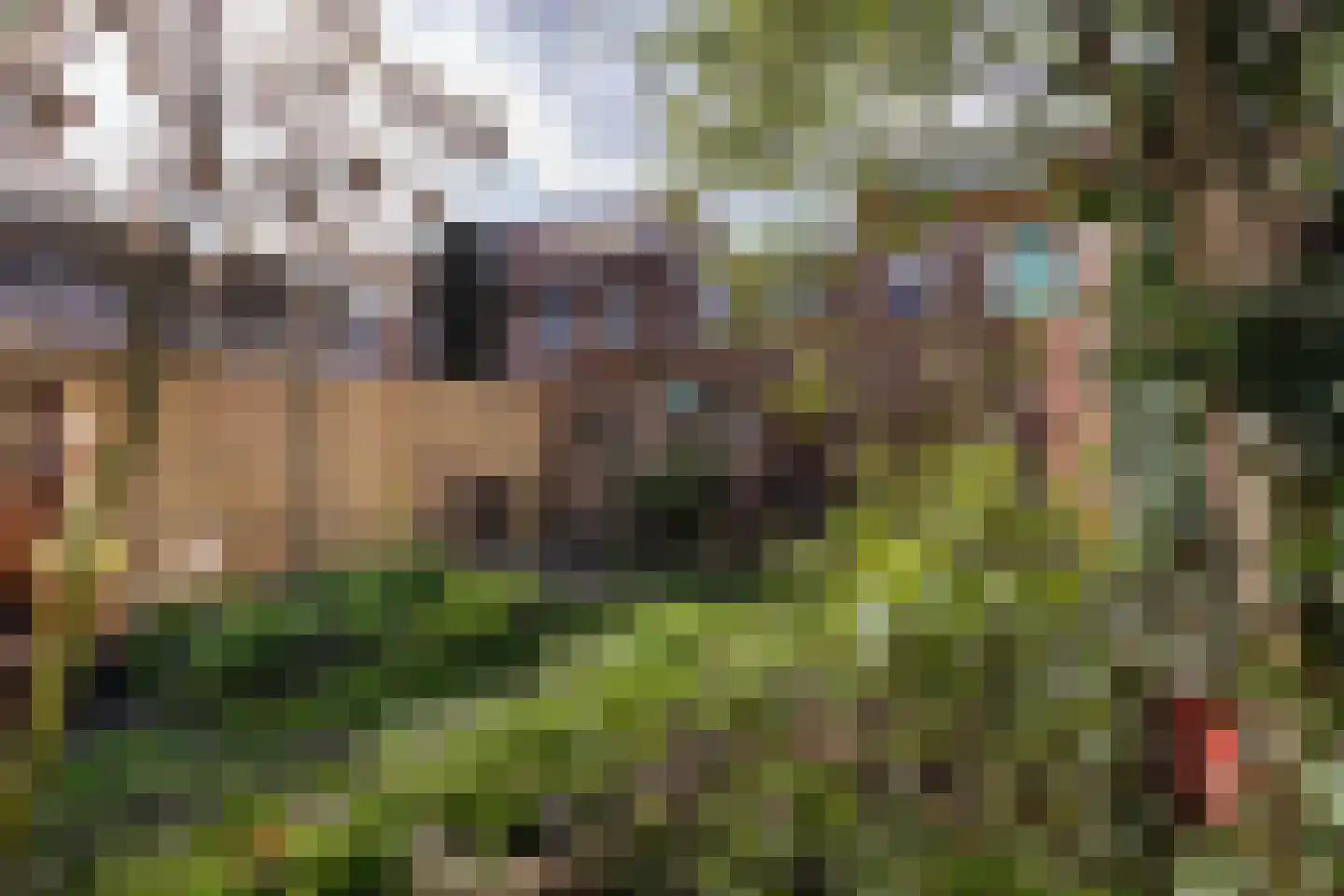 Pieter Maritzstraat 9 Haarlem thumbnail 23