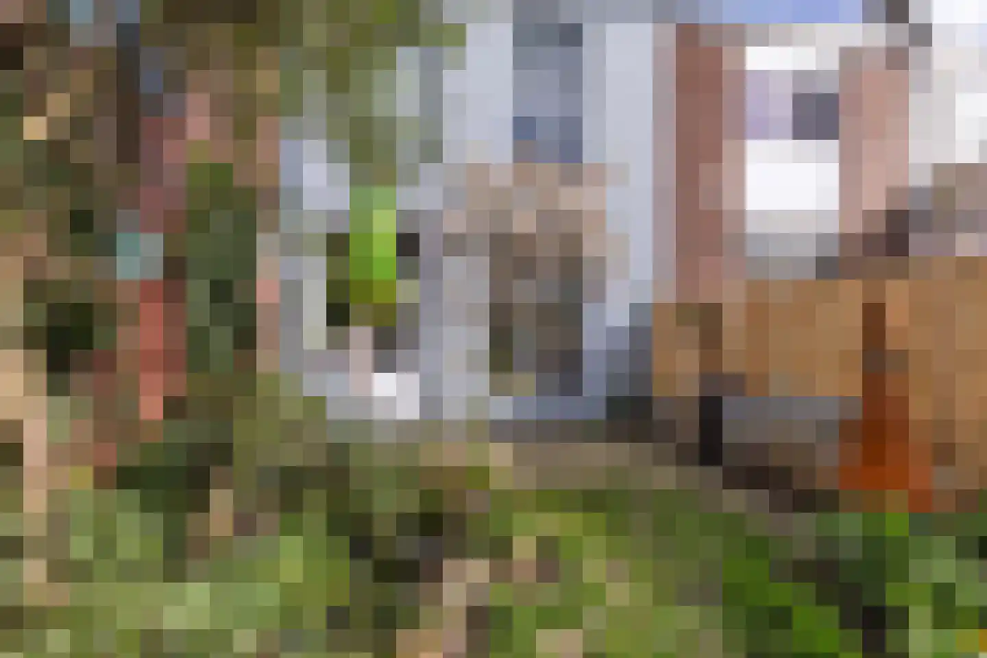Pieter Maritzstraat 9 Haarlem thumbnail 24