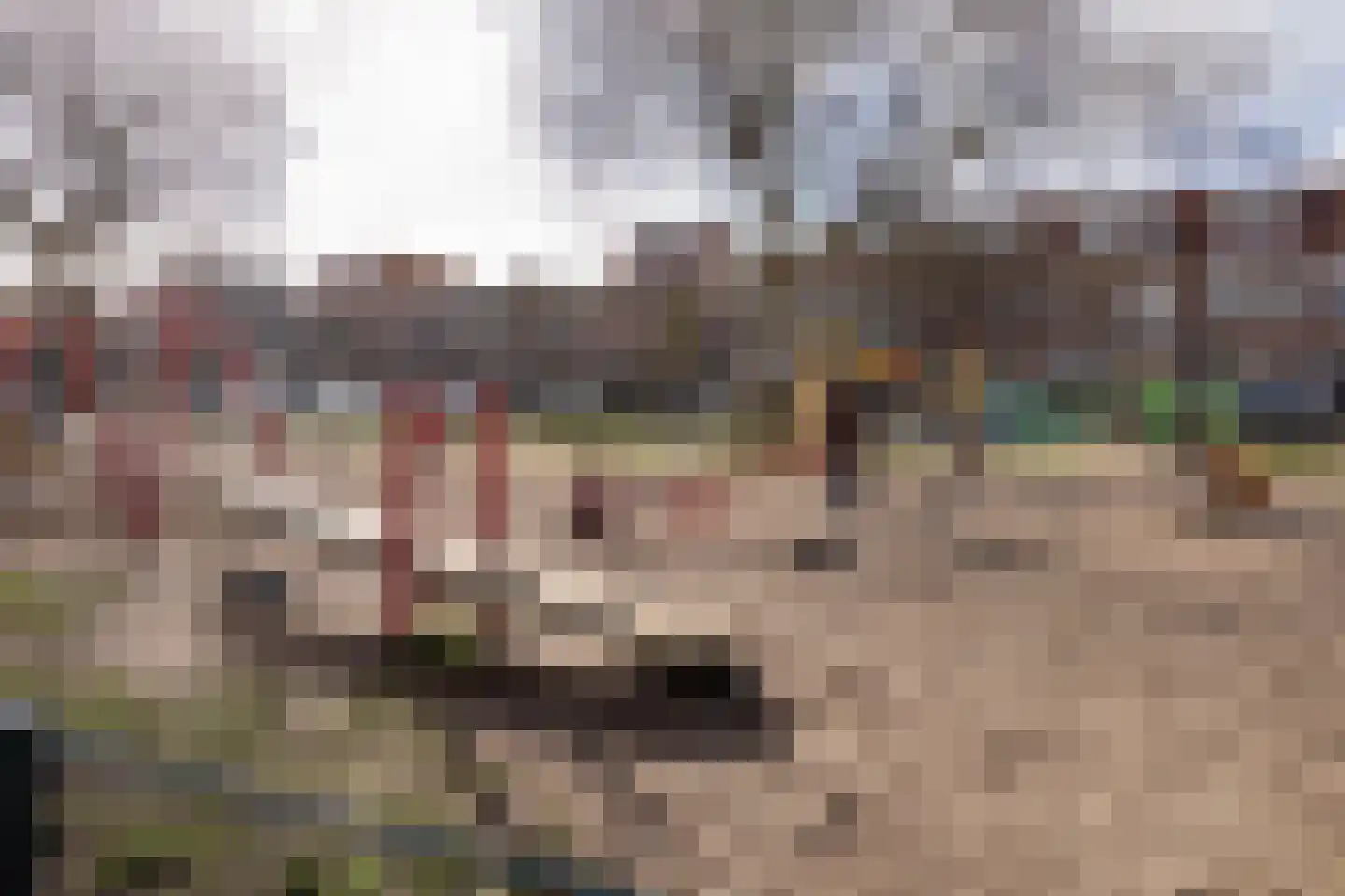 Pieter Maritzstraat 9 Haarlem thumbnail 25