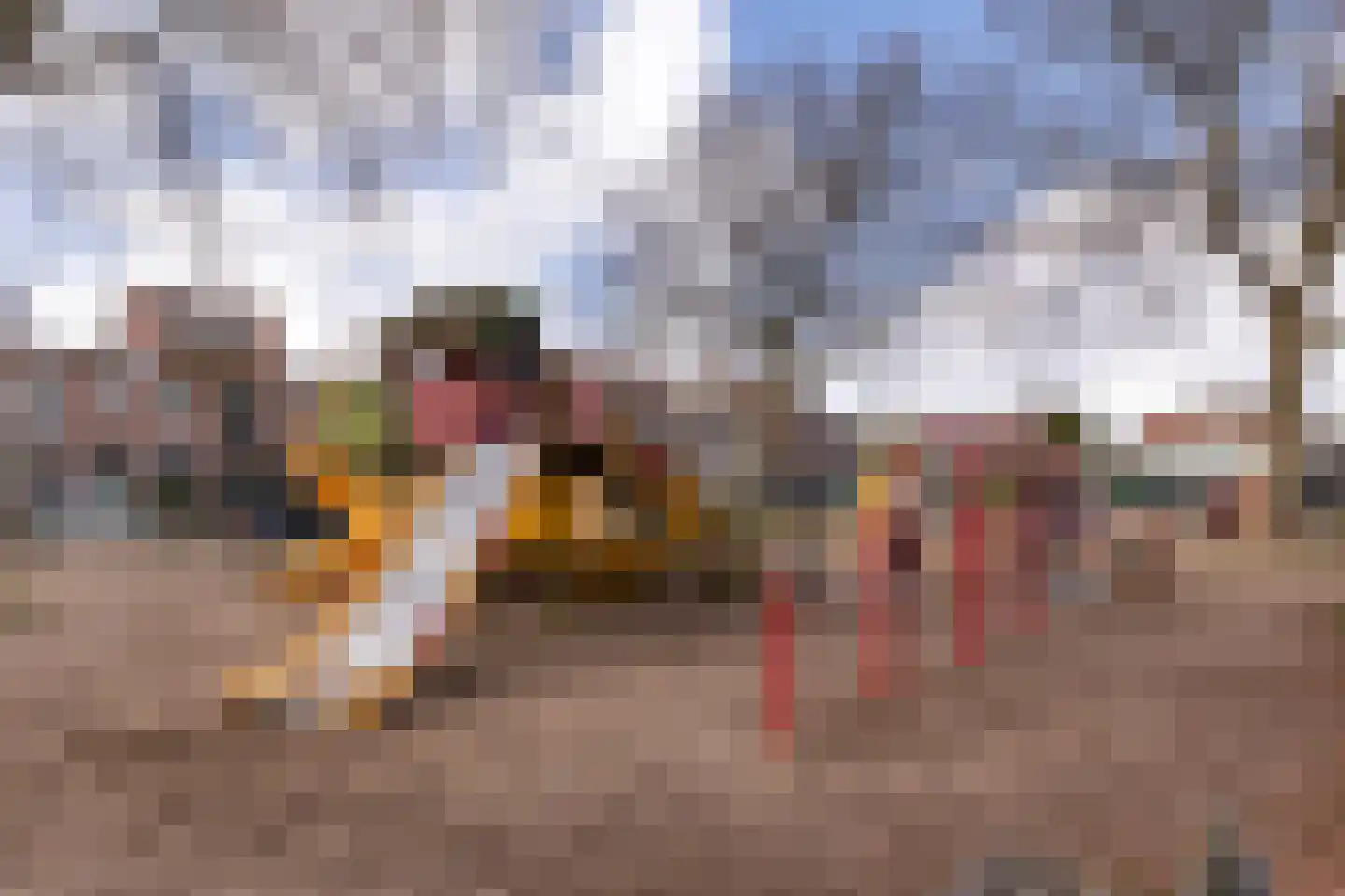 Pieter Maritzstraat 9 Haarlem thumbnail 26