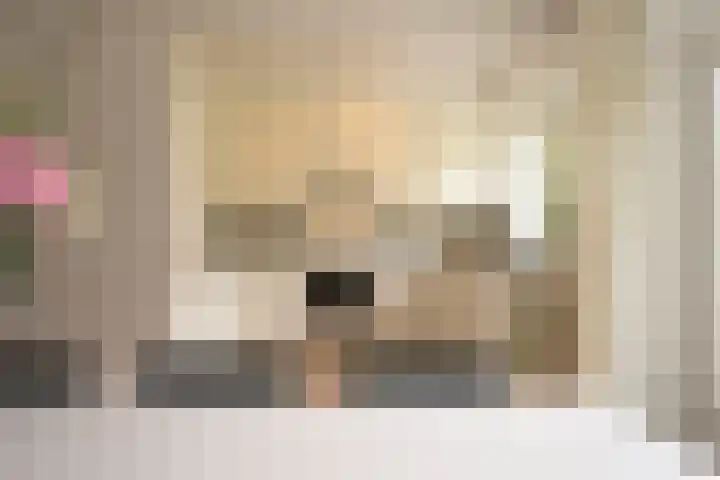Pieter Meinersstraat 10 Den Haag thumbnail 12