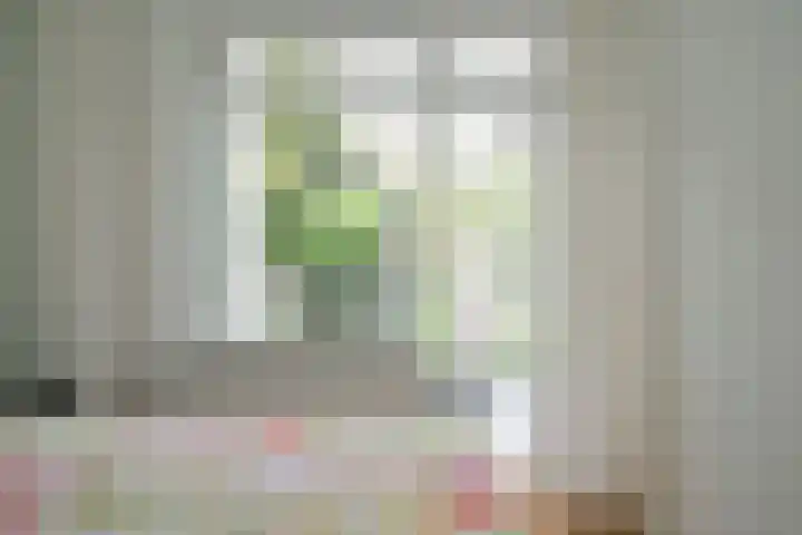 Pieter Meinersstraat 10 Den Haag thumbnail 19