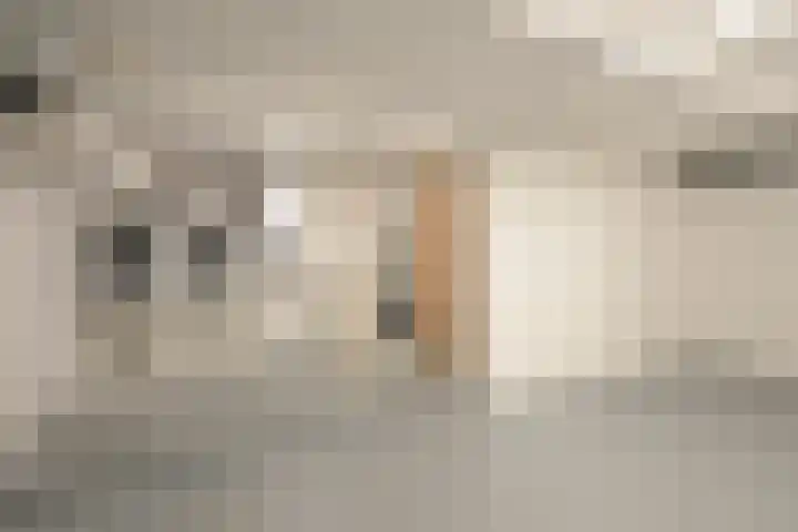 Pieter Meinersstraat 10 Den Haag thumbnail 38