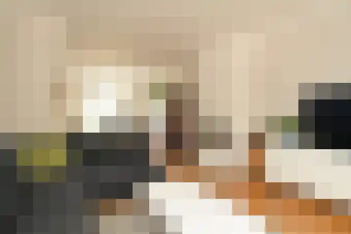 Pieter Meinersstraat 10 Den Haag thumbnail 7
