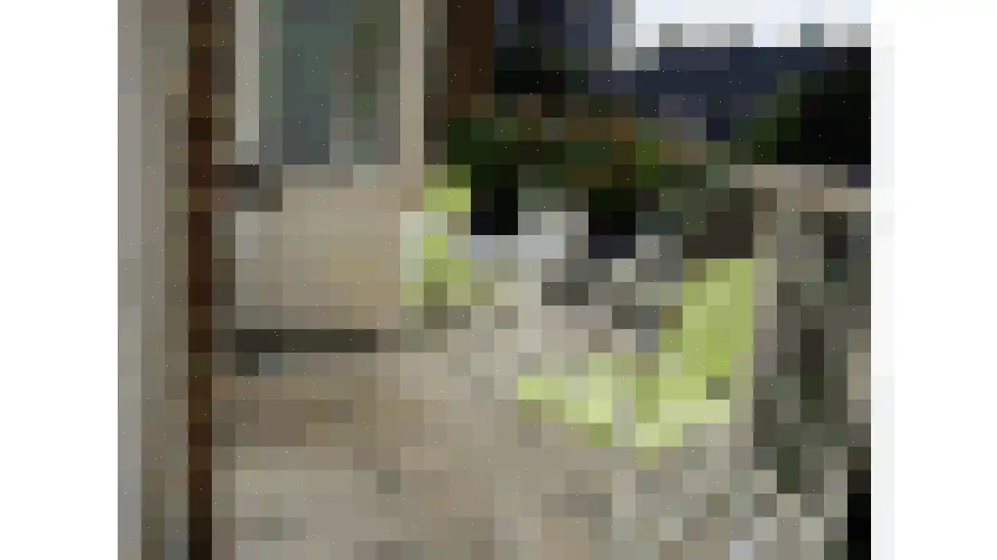 Pieter Meinersstraat 106 Den Haag thumbnail 12