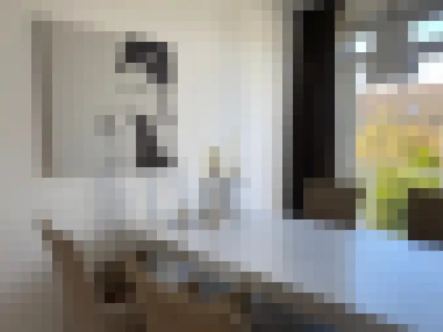 Pieter Meinersstraat 106 Den Haag thumbnail 14