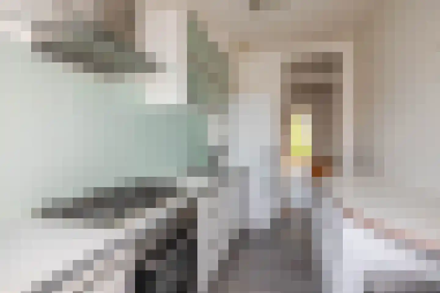 Pieter Meinersstraat 106 Den Haag thumbnail 18