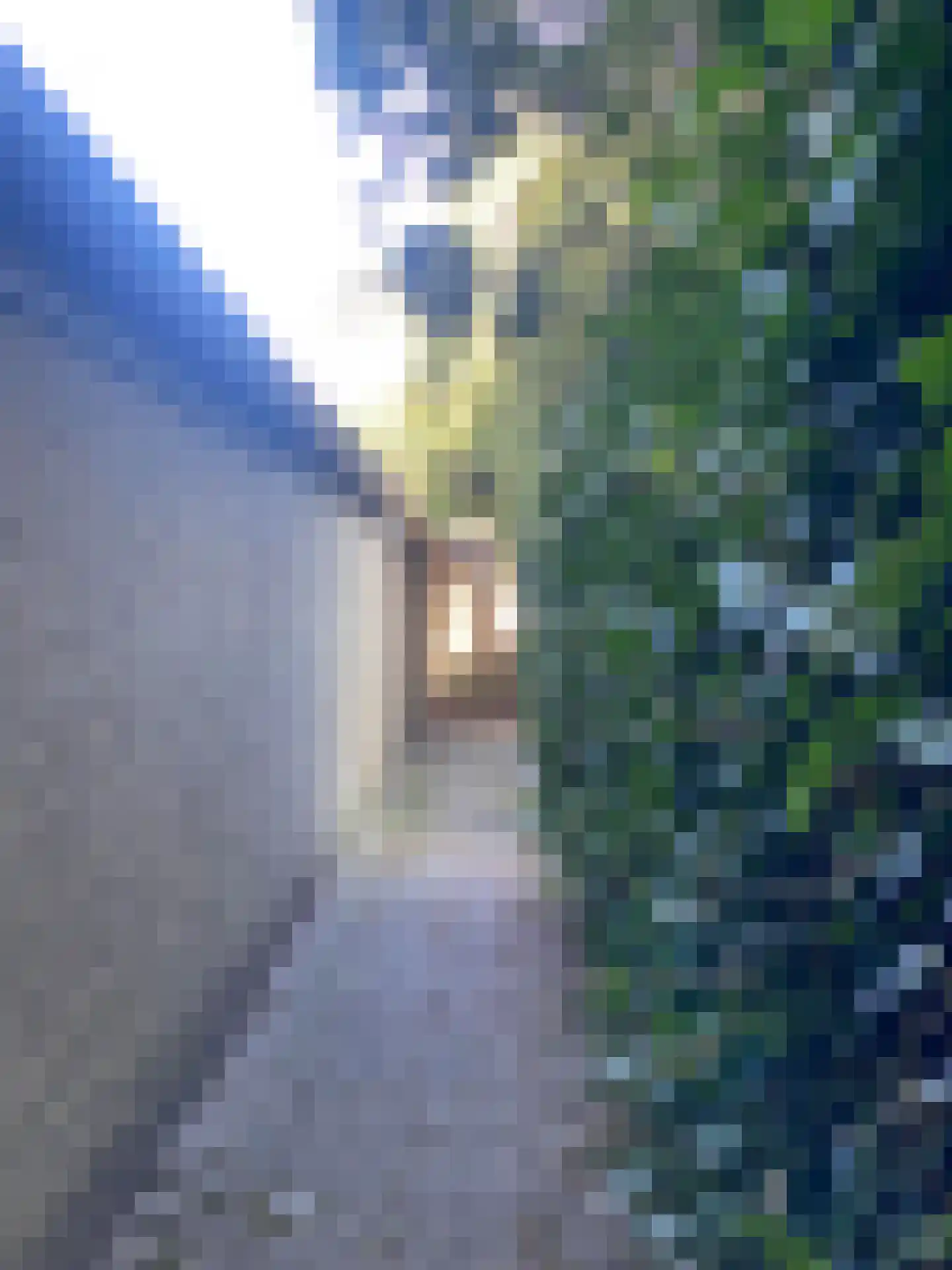 Pieter Meinersstraat 106 Den Haag thumbnail 30
